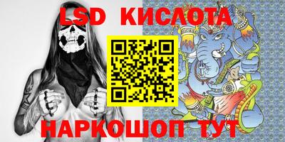 стаф Кингисепп
