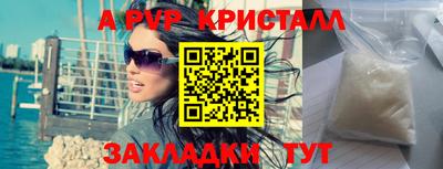 стаф Кингисепп