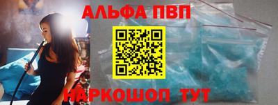 стаф Кингисепп