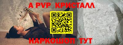 стаф Кингисепп