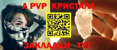 стаф Кингисепп