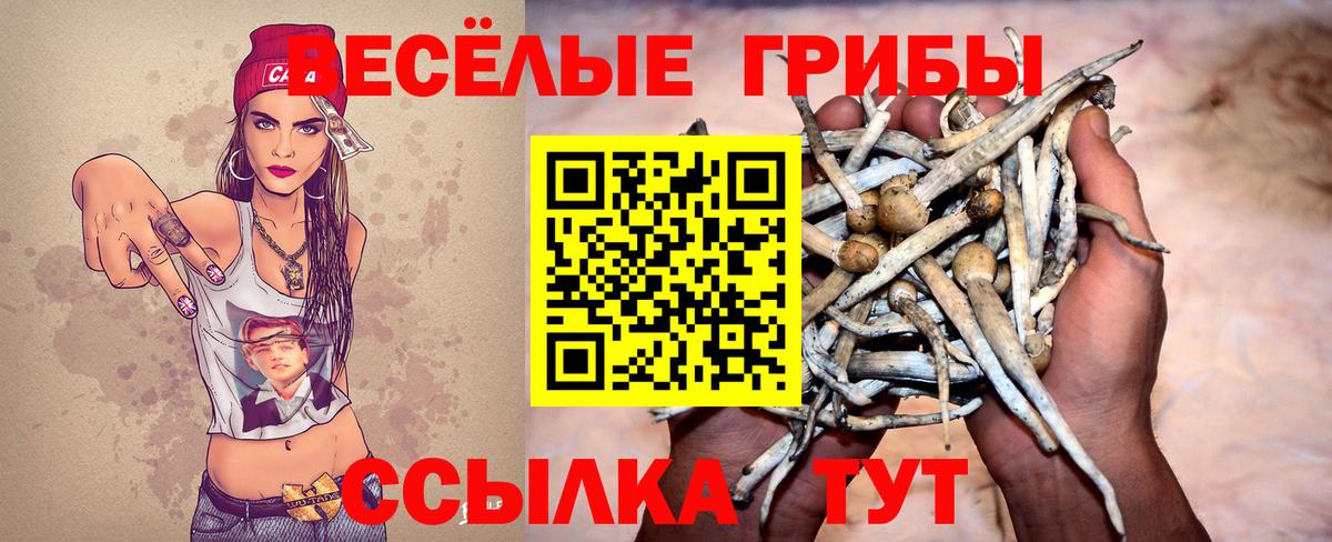 Галлюциногенные грибы Psilocybine cubensis  Галлюциногенные грибы прущие грибы  Котлас  Вход с VPN 